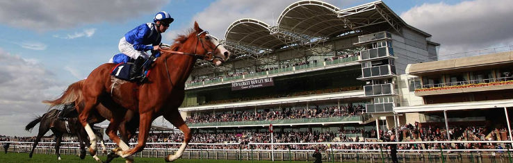 Newmarket Racecourse Trip Packages