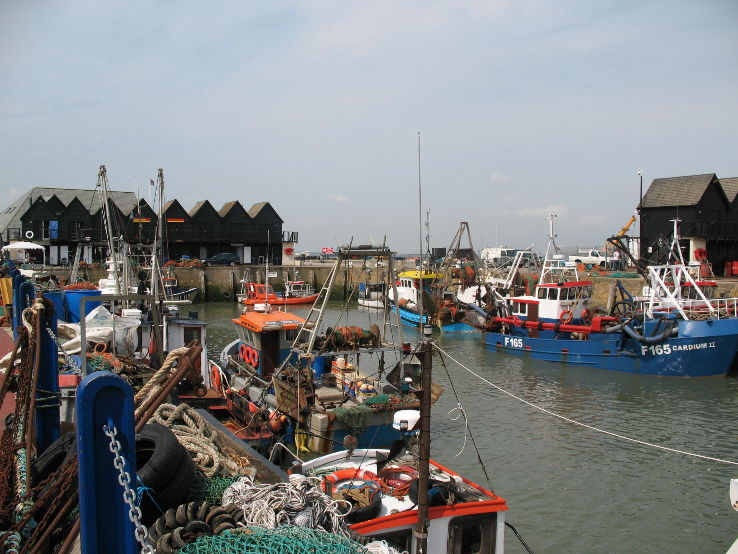 Whitstable Harbour Trip Packages