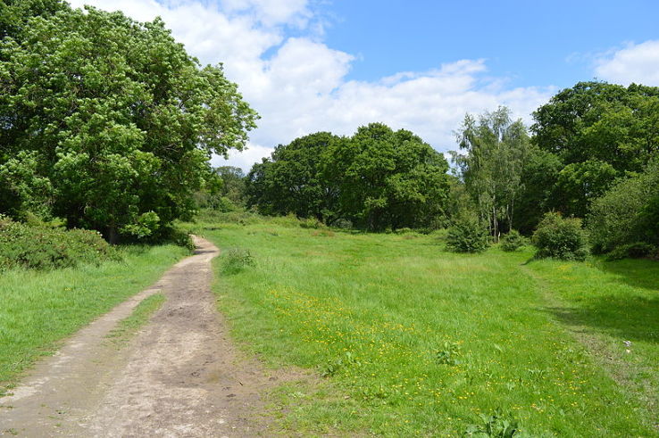 Ruislip Woods Trip Packages