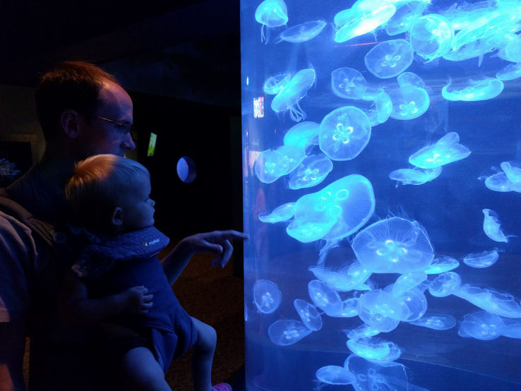 North Carolina Aquarium at Fort Fisher  Trip Packages