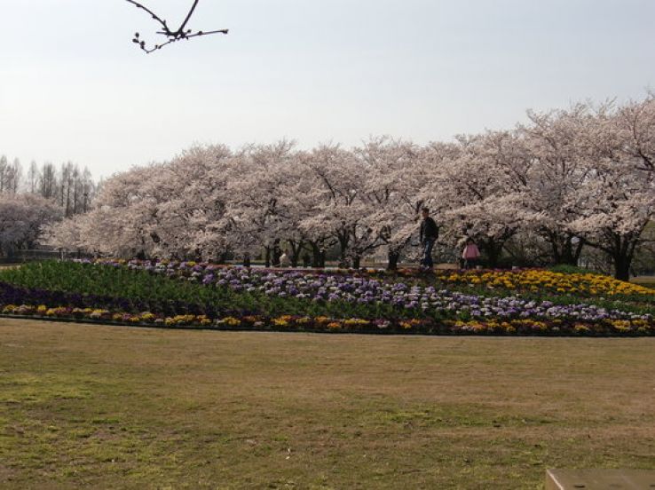 Botanic Gardens of Toyama Trip Packages