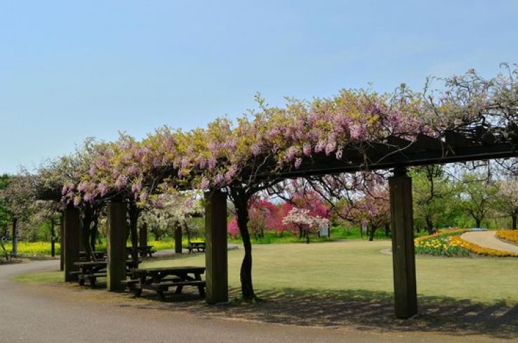 Botanic Gardens of Toyama Trip Packages